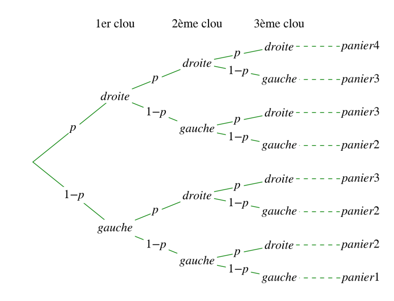 Wmool Planche Galton, Modèle Expérimental Pour Démonstration D